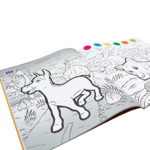 Pukka Fun Interactive Colouring Book Animal Kingdom